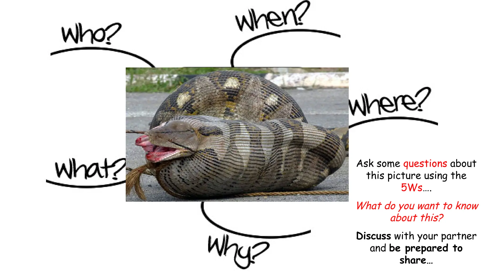 Ask some questions about
this picture using the
5Ws….
What do you want to know
about this?
Discuss with your partner
and be prepared to
share…
 