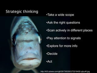 Strategic thinking
                           •Take a wide scope

                           •Ask the right questions

                           •Scan actively in different places

                           •Pay attention to signals

                           •Explore for more info

                           •Decide

                           •Act

                     http://k53.pbase.com/g6/26/738326/2/73218400.iyljcuiK.jpg
 