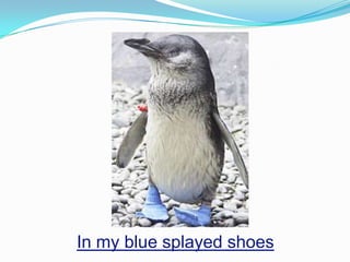 The StrategyAn elaborate and systematic plan of action designed to achieve a particular goalThe strategy provides a direction and keeps everything and everyone on track.