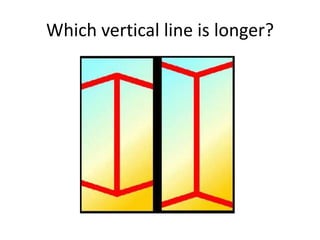 Which vertical line is longer?
 