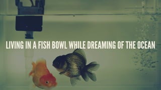 LIVING IN A FISH BOWL WHILE DREAMING OF THE OCEAN
 