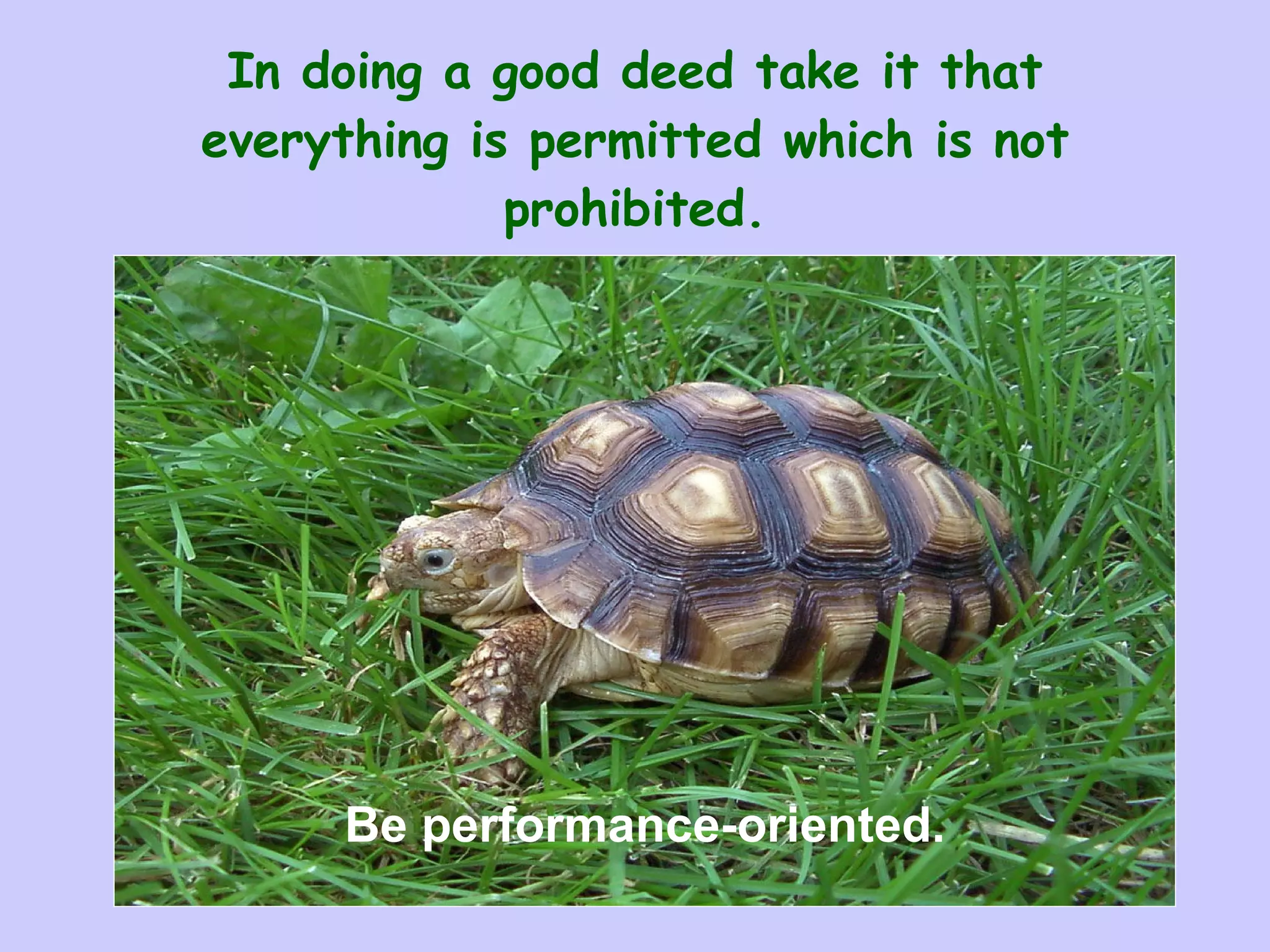 In doing a good deed take it that everything is permitted which is not prohibited. Be performance-oriented. 