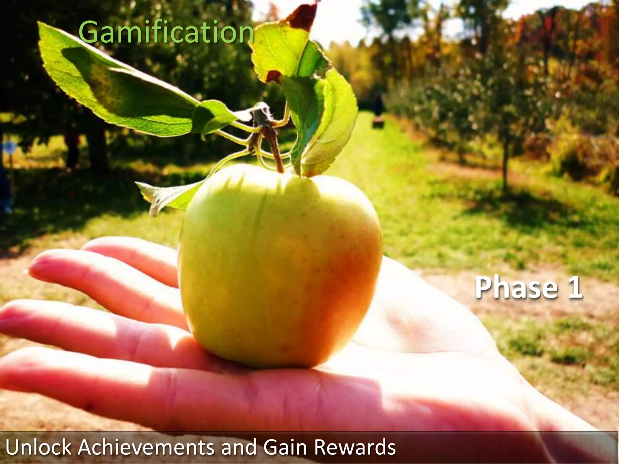 Gamification




                                       Phase 1



Unlock Achievements and Gain Rewards
 