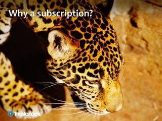 Why a subscription?
 