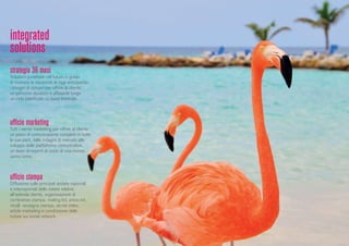 ufficio marketing
Tutti i servizi marketing per offrire al cliente
un piano di comunicazione completo in tutte
le sue parti, dalle indagini di mercato allo
sviluppo delle piattaforme comunicative,
un team di esperti al costo di una risorsa
uomo/anno.
strategia 36 mesi
Soluzioni proiettate nel futuro in grado
di risolvere le necessità di oggi anticipando
i bisogni di domani per offrire al cliente
un percorso duraturo e affidabile lungo
un ciclo pianificato su base triennale.
ufficio stampa
Diffusione sulle principali testate nazionali
e internazionali delle notizie relative
all’azienda cliente, organizzazione di
conferenze stampa, mailing list, press-kit,
recall, rassegna stampa, servizi video,
article marketing e condivisione delle
notizie sui social network.
integrated
solutions
 