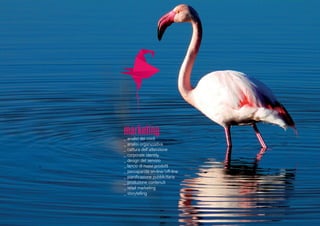 marketing_ analisi dei costi
_ analisi organizzativa
_ cattura dell’attenzione
_ corporate identity
_ design del servizio
_ lancio di nuovi prodotti
_ passaparola on-line/off-line
_ pianificazione pubblicitaria
_ produzione contenuti
_ retail marketing
_ storytelling
 