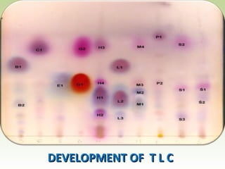 DEVELOPMENT OF T L CDEVELOPMENT OF T L C
 