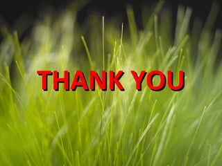 THANK YOUTHANK YOU
 