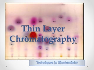 Thin Layer
Chromatography
 