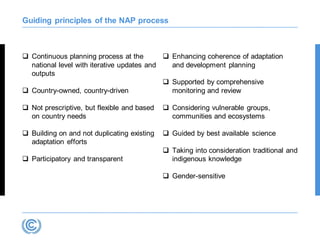 Guiding principles of the NAP process
 Continuous planning process at the
national level with iterative updates and
outpu...