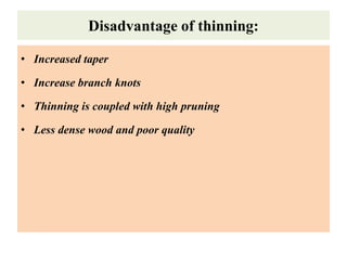 Disadvantage of thinning:
• Increased taper
• Increase branch knots
• Thinning is coupled with high pruning
• Less dense wood and poor quality
 