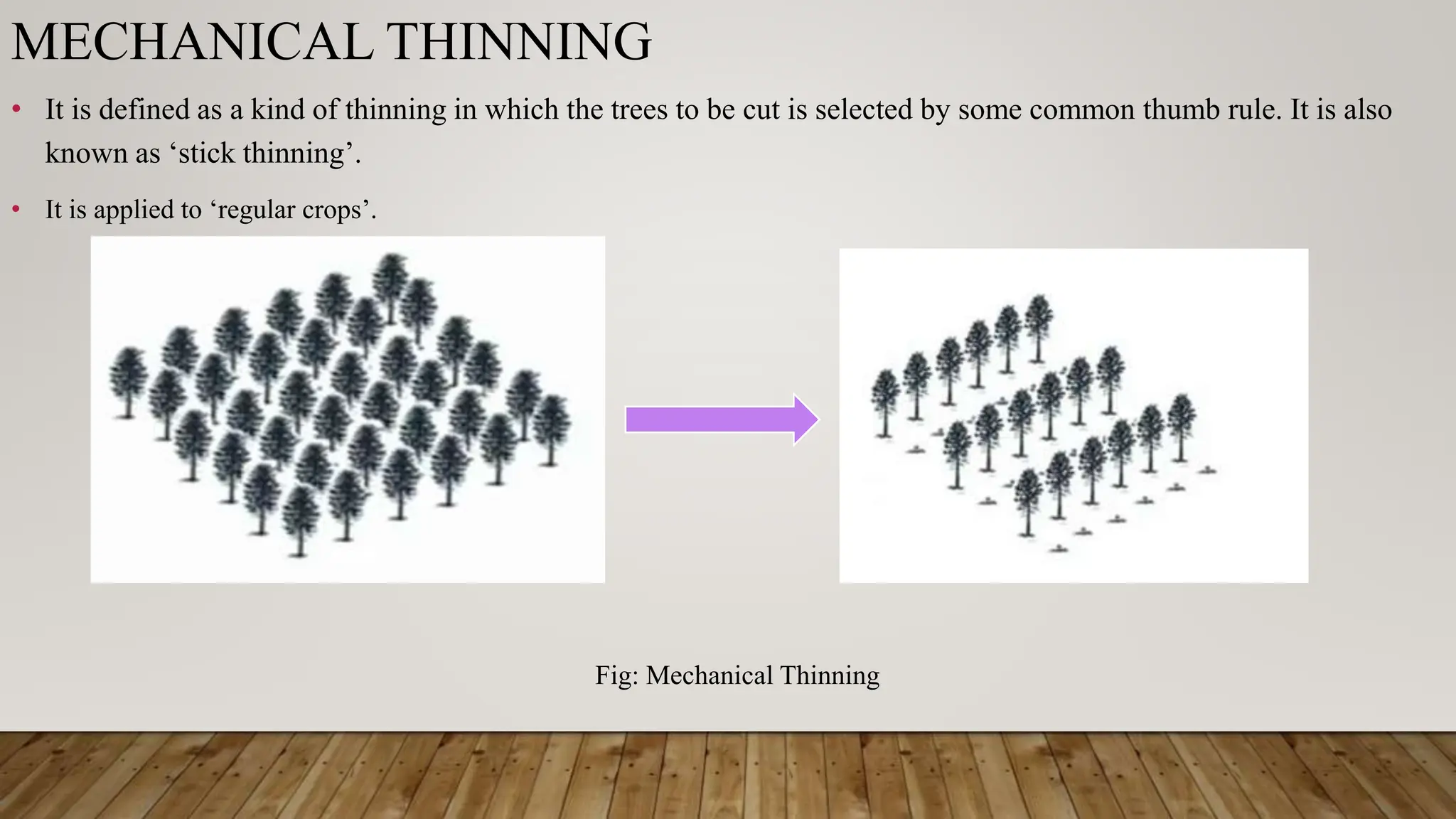 thinning and its effect on growth and yield.pptx