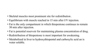 • Skeletal muscles most prominent site for redistribution .
• Equilibrium with muscle reached in 15 min after I/V injection.
• Fat is the only compartment in which thiopentone continues to remain
30 min after injection.
• Fat is potential reservoir for maintaining plasma concentration of drug.
• Redistribution of thiopentone is most important for awakening.
• Metabolized in liver to hydroxythiopental and carboxylic acid an is
water soluble.
 