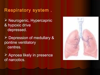 Respiratory system .
 Neurogenic, Hypercapnic
& hypoxic drive
depressed.
 Depression of medullary &
pontine ventilatory
centres.
 Apnoea likely in presence
of narcotics.
 