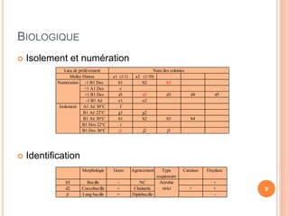 BIOLOGIQUE
   Isolement et numération
                Lieu de prélèvement                         Nom des colonies
                   Muller Hinton        a1 (1/1)    a2 (1/10)
            Numération -1 B1 Des          b1           b2         b3
                           +1 A1 Des        c
                           +1 B1 Des      d1             d2             d3          d4         d5
                            -1 B1 Aé      e1             e2
             Isolement A1 Aé 30°C           f
                          B1 Aé 22°C      g1             g2
                          B1 Aé 30°C      h1             h2             h3          h4
                          B1 Des 22°C       i
                          B1 Des 30°C      j1            j2             j3




   Identification
                        Morphologie     Gram       Agencement        Type        Catalase   Oxydase
                                                                  respiratoire
                b3        Bacille         -            NC           Aérobie                   +
                d2      Coccobacille      +         Chainette        strict         +         +       9
                j1      Long bacille      +        Diplobacille                               -
 