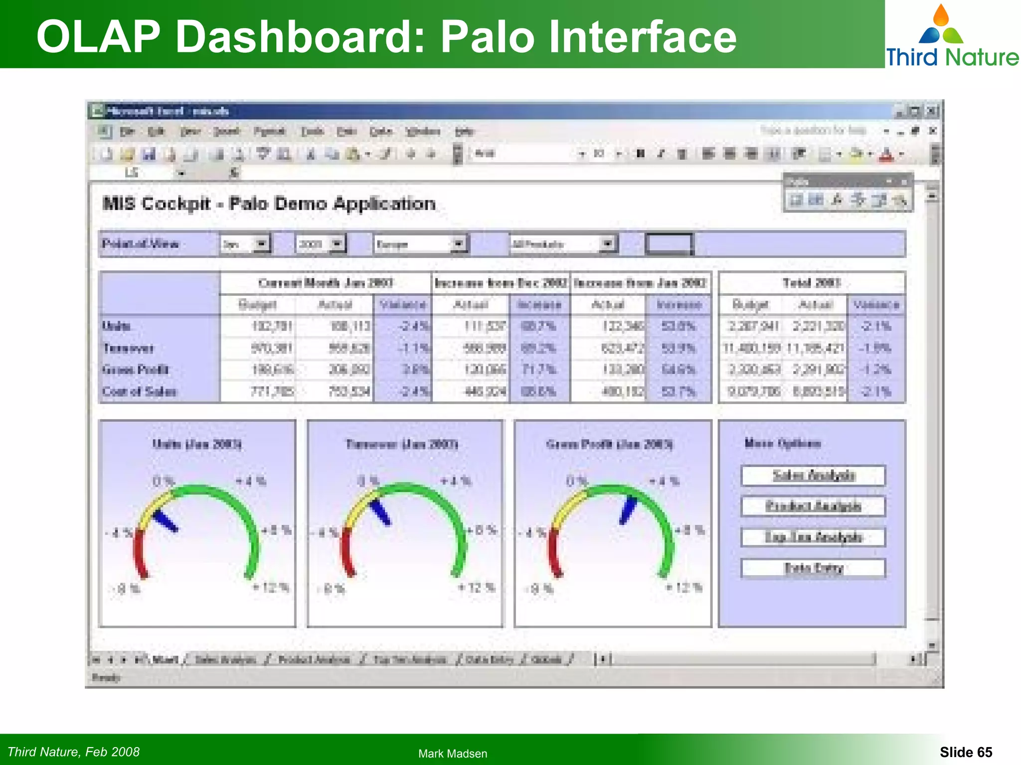 OLAP Dashboard: Palo Interface 