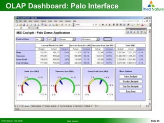 OLAP Dashboard: Palo Interface 