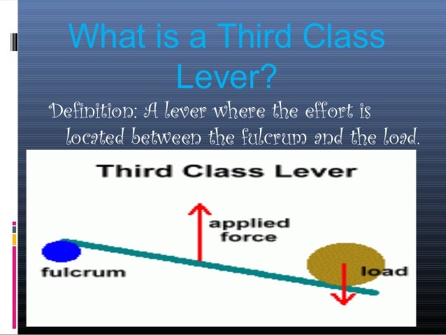 Third Class Levers