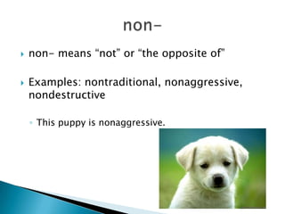    non- means “not” or “the opposite of”

   Examples: nontraditional, nonaggressive,
    nondestructive

    ◦ This puppy is nonaggressive.
 