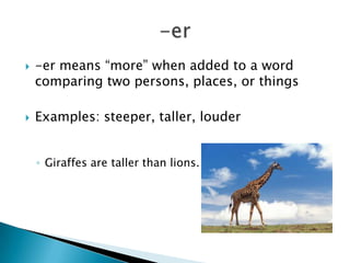    -er means “more” when added to a word
    comparing two persons, places, or things

   Examples: steeper, taller, louder


    ◦ Giraffes are taller than lions.
 