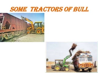 SOME TRACTORS OF BULL

 