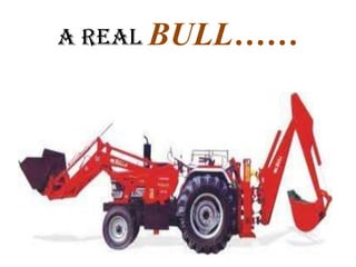 A REAL BULL……

 