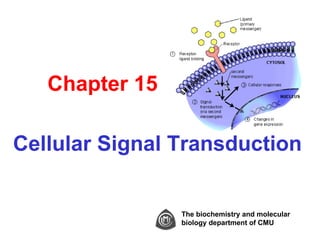 Chapter 15

Cellular Signal Transduction


                The biochemistry and molecular
                biology department of CMU
 