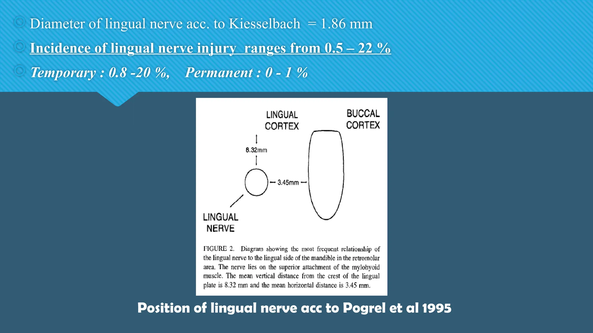  Diameter of lingual nerve acc. to Kiesselbach = 1.86 mm
 Incidence of lingual nerve injury ranges from 0.5 – 22 %
 Temporary : 0.8 -20 %, Permanent : 0 - 1 %
Position of lingual nerve acc to Pogrel et al 1995
 