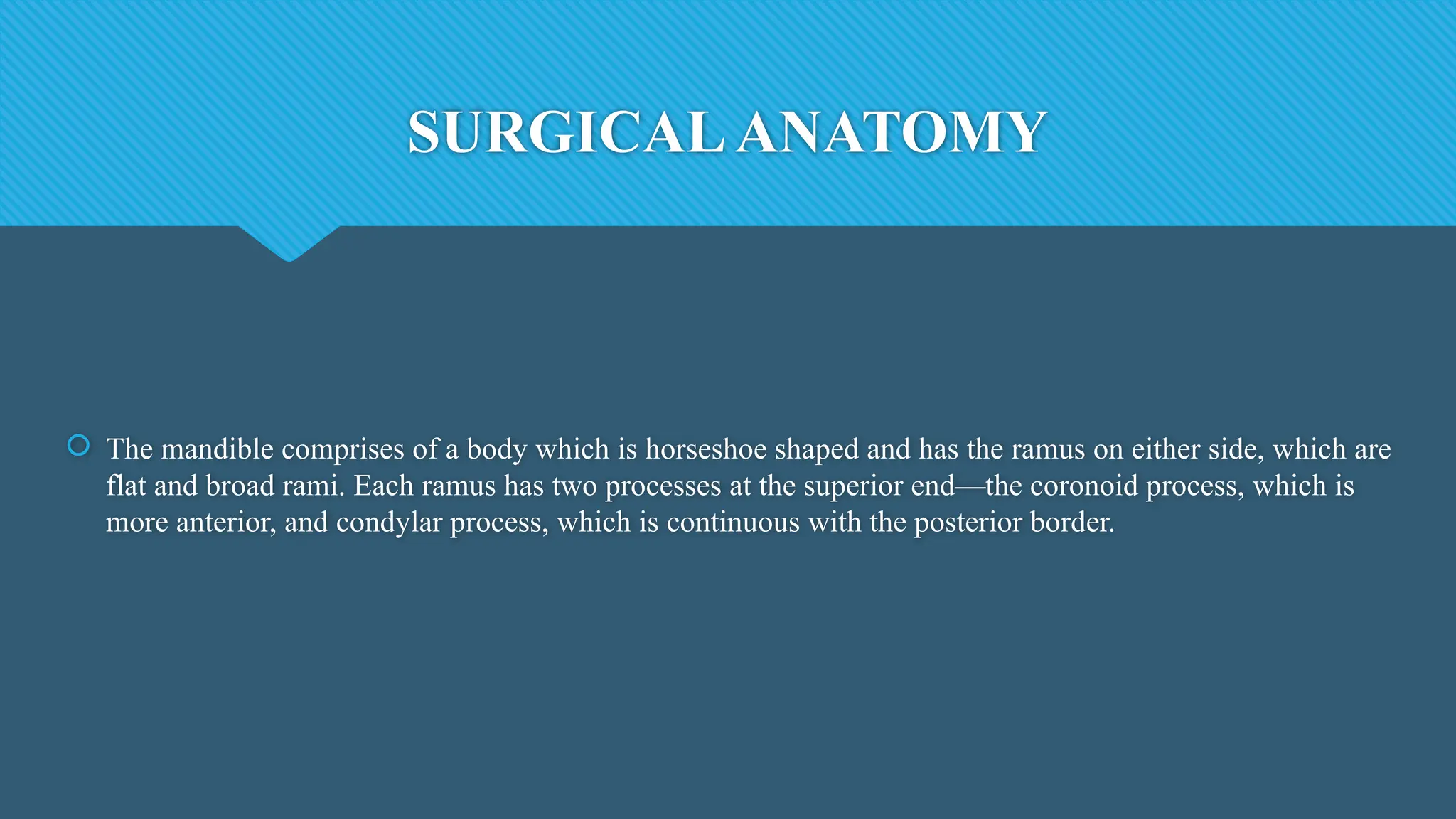 SURGICALANATOMY
 The mandible comprises of a body which is horseshoe shaped and has the ramus on either side, which are
flat and broad rami. Each ramus has two processes at the superior end—the coronoid process, which is
more anterior, and condylar process, which is continuous with the posterior border.
 