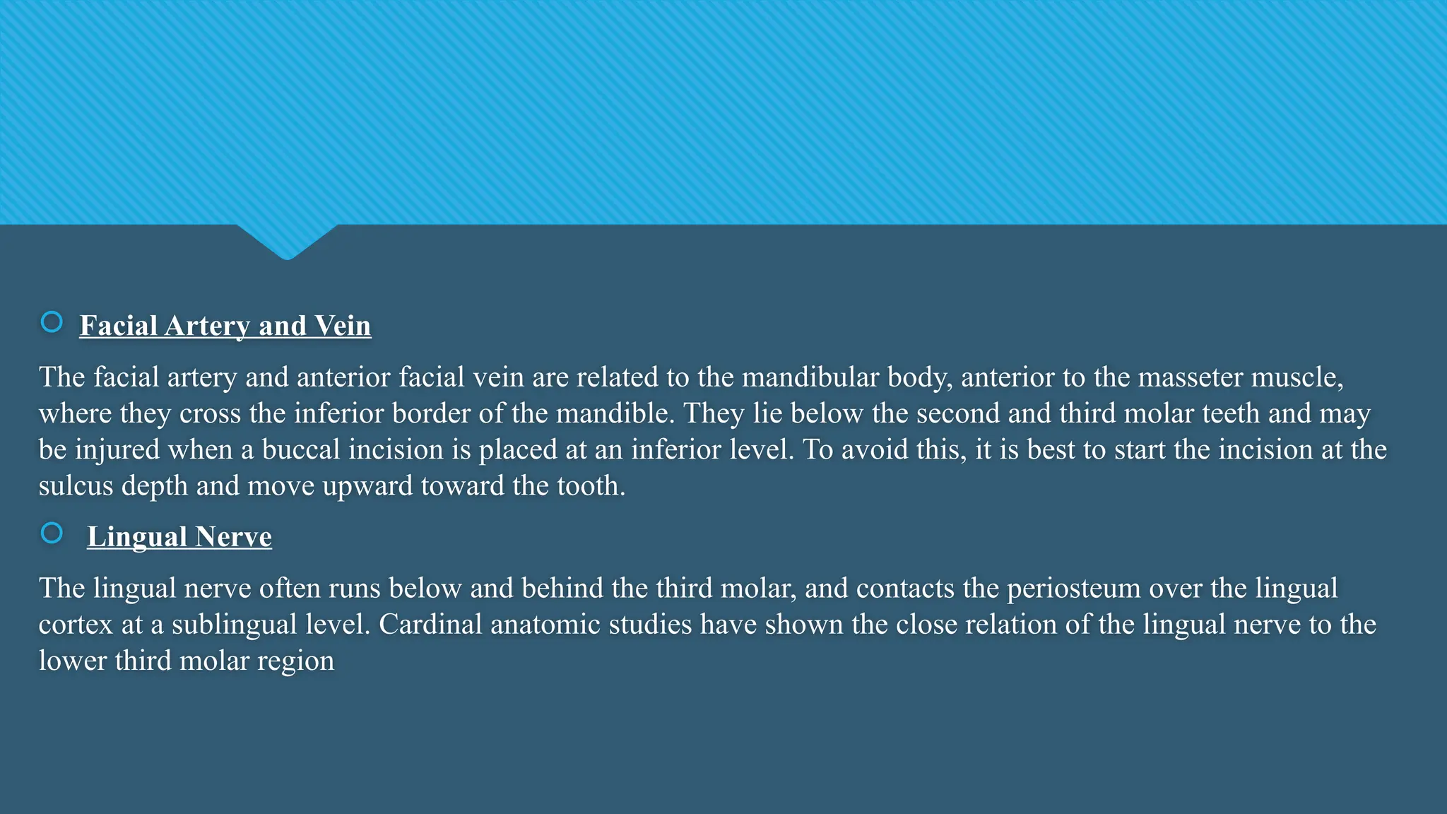  Facial Artery and Vein
The facial artery and anterior facial vein are related to the mandibular body, anterior to the masseter muscle,
where they cross the inferior border of the mandible. They lie below the second and third molar teeth and may
be injured when a buccal incision is placed at an inferior level. To avoid this, it is best to start the incision at the
sulcus depth and move upward toward the tooth.
 Lingual Nerve
The lingual nerve often runs below and behind the third molar, and contacts the periosteum over the lingual
cortex at a sublingual level. Cardinal anatomic studies have shown the close relation of the lingual nerve to the
lower third molar region
 