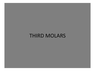 THIRD MOLARS
 