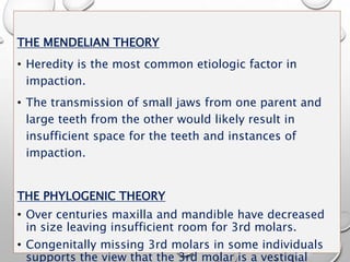 THE MENDELIAN THEORY
• Heredity is the most common etiologic factor in
impaction.
• The transmission of small jaws from one parent and
large teeth from the other would likely result in
insufficient space for the teeth and instances of
impaction.
THE PHYLOGENIC THEORY
• Over centuries maxilla and mandible have decreased
in size leaving insufficient room for 3rd molars.
• Congenitally missing 3rd molars in some individuals
supports the view that the 3rd molar is a vestigial
 