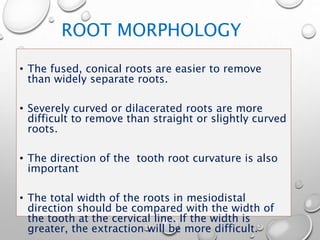 ROOT MORPHOLOGY
• The fused, conical roots are easier to remove
than widely separate roots.
• Severely curved or dilacerated roots are more
difficult to remove than straight or slightly curved
roots.
• The direction of the tooth root curvature is also
important
• The total width of the roots in mesiodistal
direction should be compared with the width of
the tooth at the cervical line. If the width is
greater, the extraction will be more difficult.
 