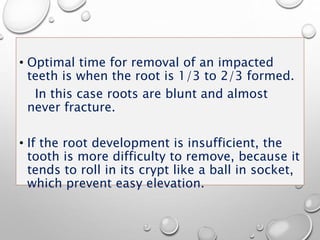 • Optimal time for removal of an impacted
teeth is when the root is 1/3 to 2/3 formed.
In this case roots are blunt and almost
never fracture.
• If the root development is insufficient, the
tooth is more difficulty to remove, because it
tends to roll in its crypt like a ball in socket,
which prevent easy elevation.
 