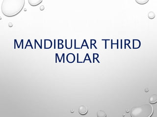 MANDIBULAR THIRD
MOLAR
 