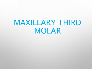 MAXILLARY THIRD
MOLAR
 