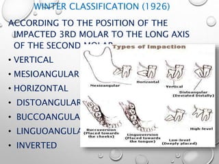 WINTER CLASSIFICATION (1926)
ACCORDING TO THE POSITION OF THE
IMPACTED 3RD MOLAR TO THE LONG AXIS
OF THE SECOND MOLAR.
• VERTICAL
• MESIOANGULAR
• HORIZONTAL
• DISTOANGULAR
• BUCCOANGULAR
• LINGUOANGULAR
• INVERTED
 