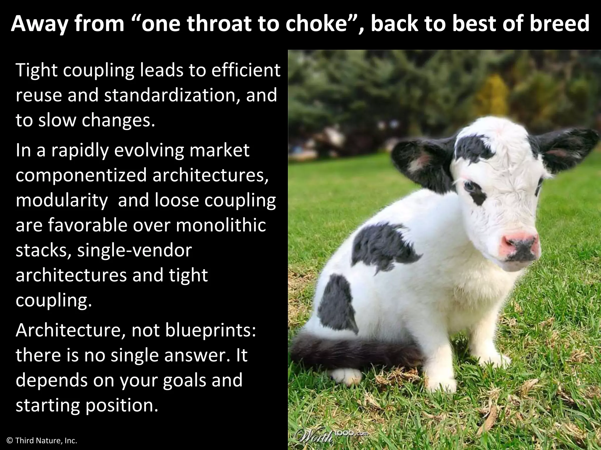 © Third Nature, Inc.
Away from “one throat to choke”, back to best of breed
Tight coupling leads to efficient
reuse and standardization, and
to slow changes.
In a rapidly evolving market
componentized architectures,
modularity and loose coupling
are favorable over monolithic
stacks, single-vendor
architectures and tight
coupling.
Architecture, not blueprints:
there is no single answer. It
depends on your goals and
starting position.
 