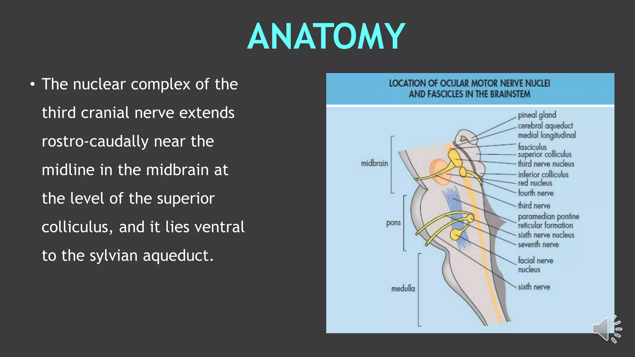 Third nerve- functional anatomy and clinical features | PPTX