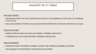THIRD NERVE PALSY -OPHTHALMOLOGY POST GR | PPTX