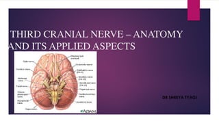 THIRD CRANIAL NERVE – ANATOMY
AND ITS APPLIED ASPECTS
DR SHREYA TYAGI
 