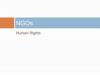 NGOs
Human Rights
 