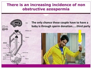 There is an increasing incidence of non
obstructive azospermia
The only chance these couple have to have a
baby is through sperm donation……third party
 
