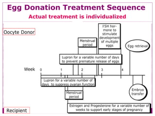Egg Donation Treatment Sequence
Actual treatment is individualized
 