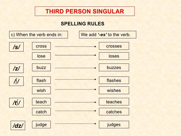 Third Person Singular And Plural Worksheets