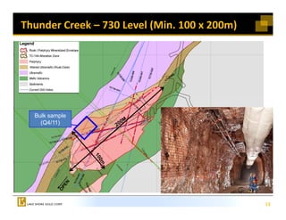 Thunder Creek – 730 Level (Min. 100 x 200m) 




  Bulk sample
    (Q4/11)




                                               13
                                               13
 