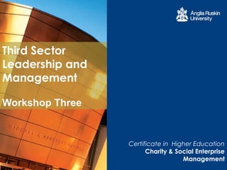 Third Sector
Leadership and
Management

Workshop Three


                 Certificate in Higher Education
                       Charity & Social Enterprise
                                   Management
 