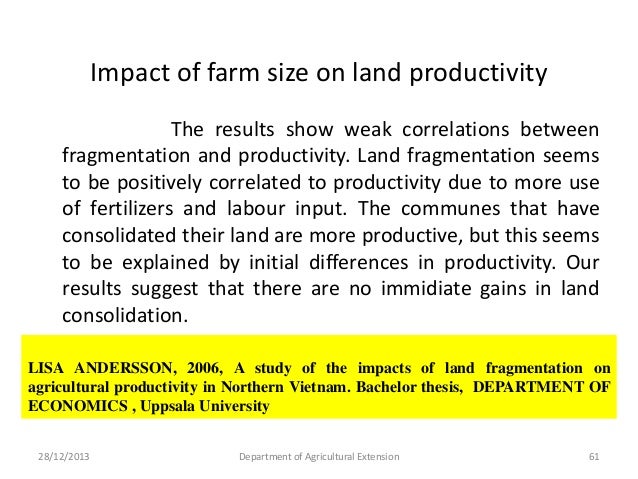 Agricultural economics masters thesis
