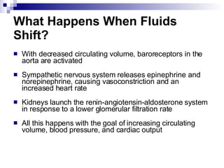 What Happens When Fluids Shift?  With decreased circulating volume, baroreceptors in the aorta are activated Sympathetic nervous system releases epinephrine and norepinephrine, causing vasoconstriction and an increased heart rate Kidneys launch the renin-angiotensin-aldosterone system in response to a lower glomerular filtration rate All this happens with the goal of increasing circulating volume, blood pressure, and cardiac output 
