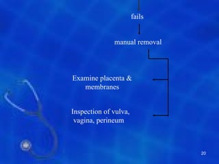 fails


              manual removal



Examine placenta &
   membranes


Inspection of vulva,
 vagina, perineum



                               20
 
